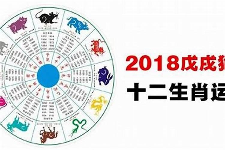 十二生肖运势一生分析