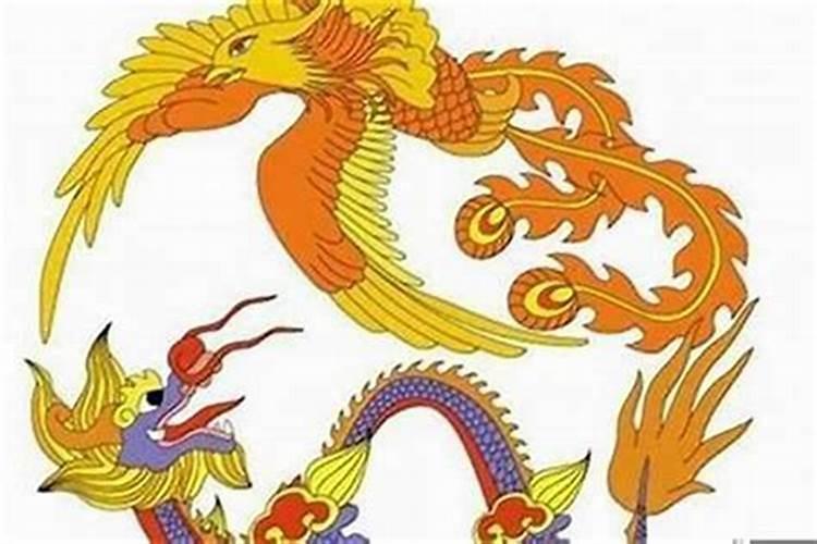 属免的和属龙的合婚吗？