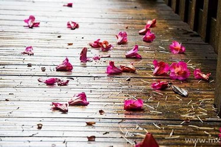 梦见别人杀别人见血了