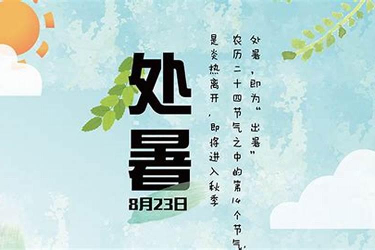 处暑立秋后注意哪些？