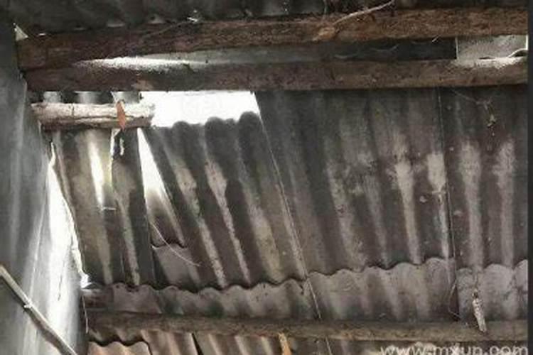 梦见牛棚塌了是什么预兆？