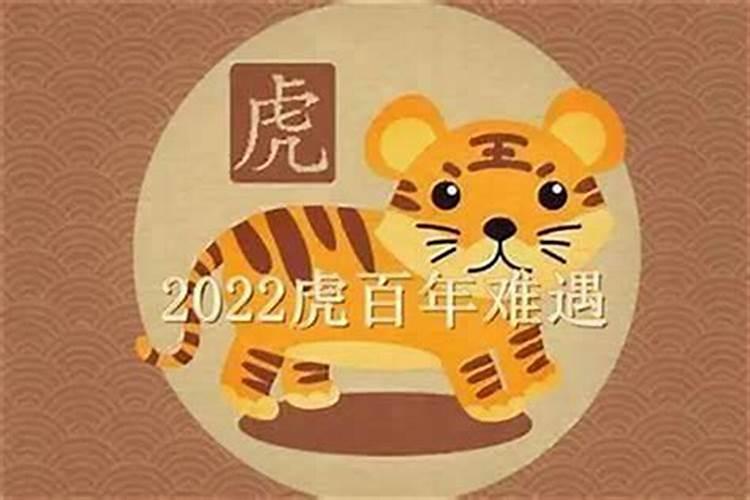 属虎2026农历十一月运势如何？