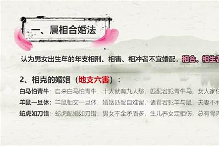 哪些合婚不能在一起？