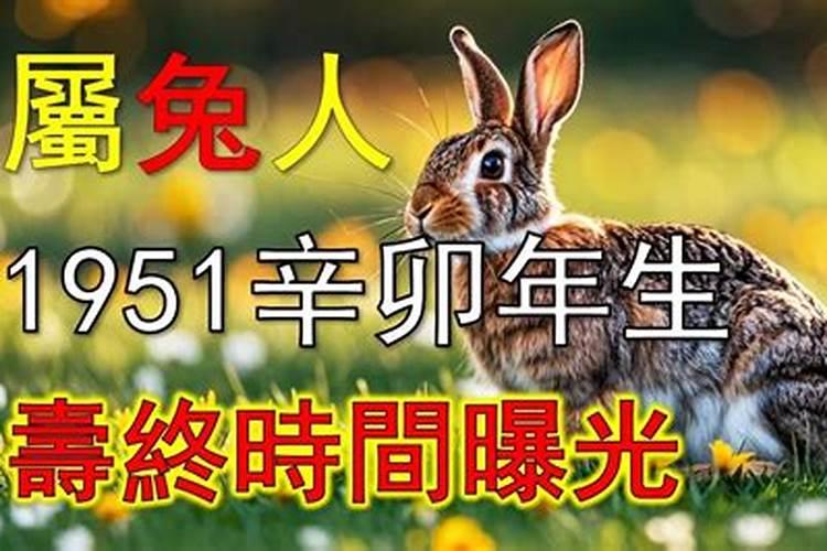 1951年兔人2026年运势