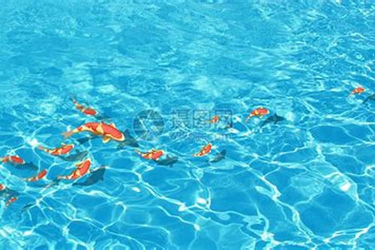 梦见大海水很清澈平静有很多鱼？