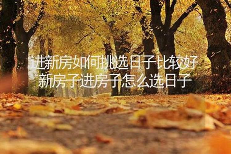 找选日子比较准的大师