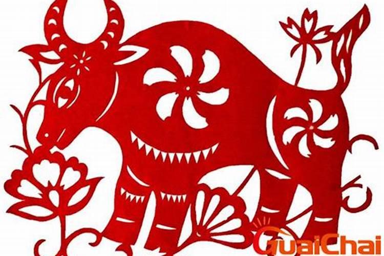 98年出生男2026年运势怎样？