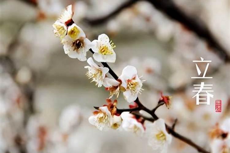 转运是从立春开始