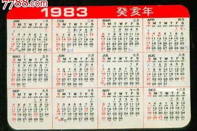 1983年阳历九月出生女运程怎样？