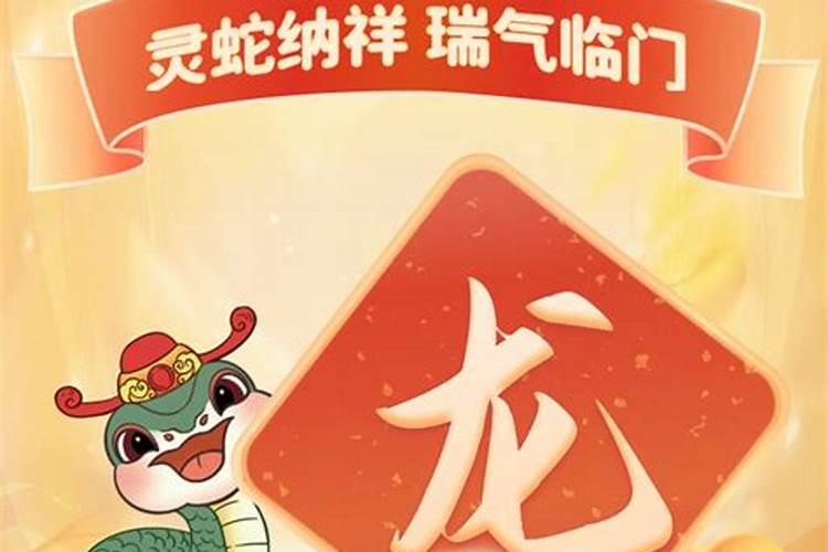 2026年生肖龙运程如何？