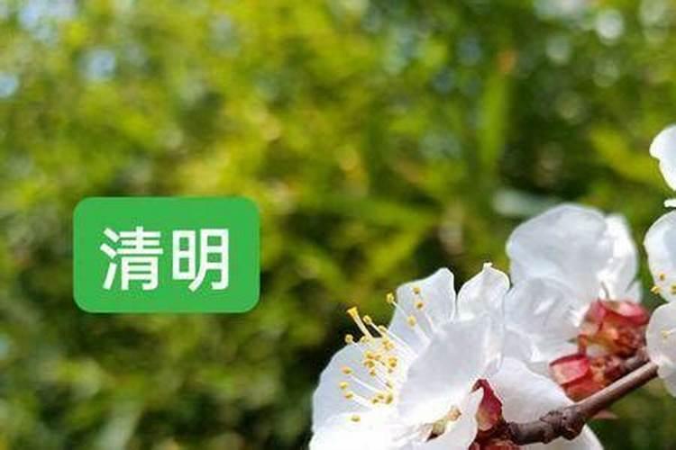 现在离清明节还有几天？