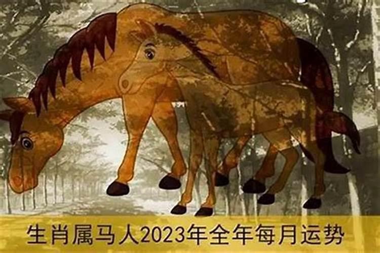 29属马的今年运势怎么样？