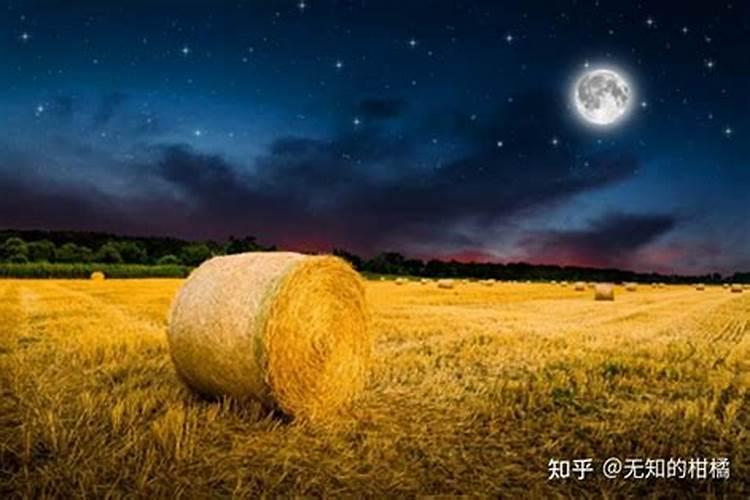 八月十五在有几天？