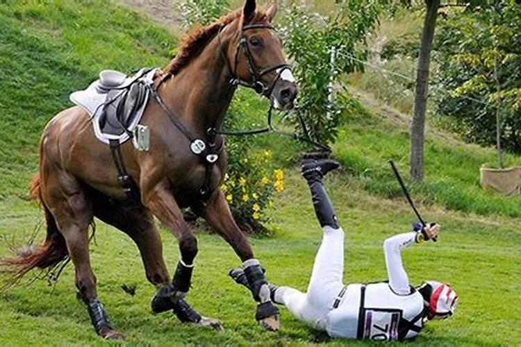 梦到从马背上摔下来