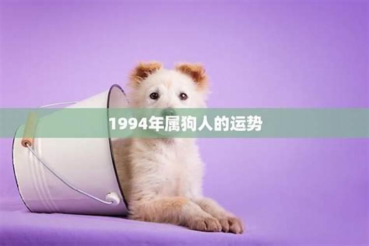 1994年属狗女生在2026年运势