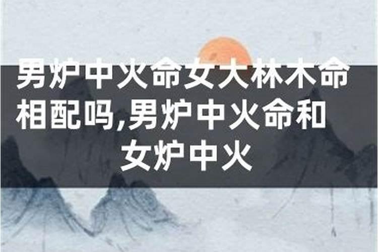 沙中土和炉中火合婚吗？