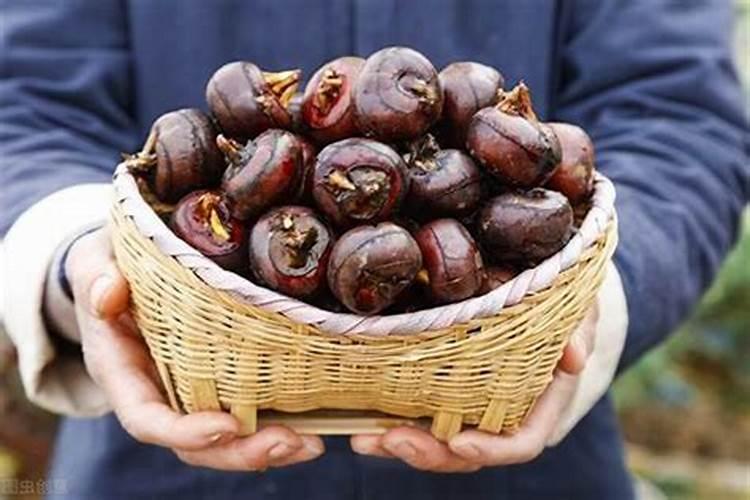 梦见水果马蹄是什么意思？