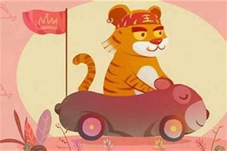 本命年虎年结婚好不好女孩？