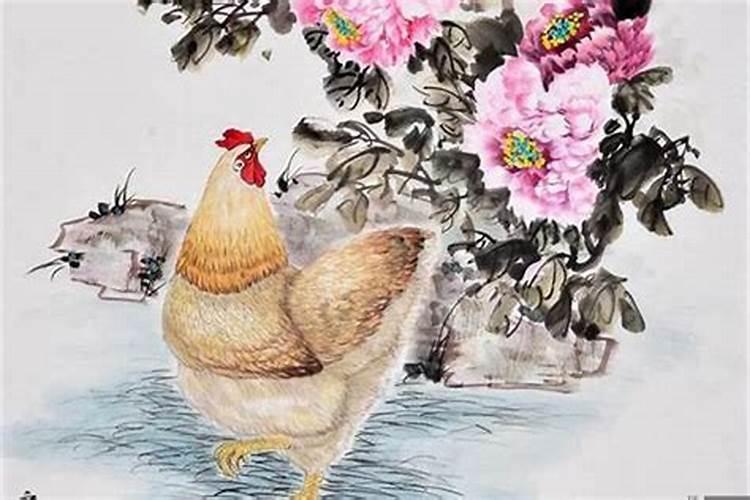 86在鸡年运势如何？