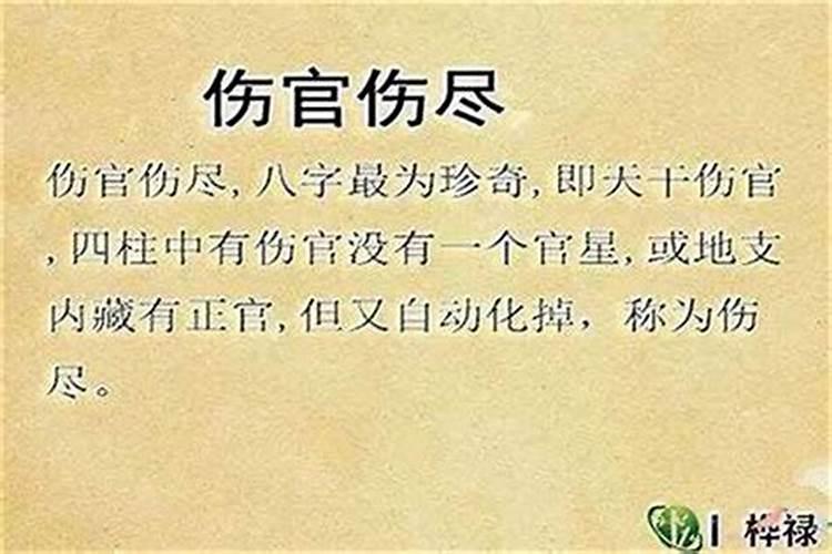 八字算命中伤官见官是什么意思？
