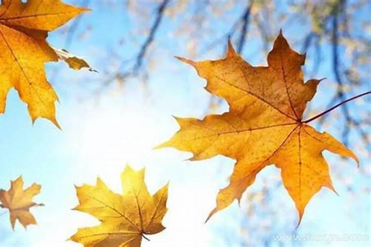 梦见被前夫气的大哭