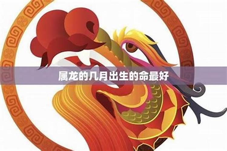 1988年8月28属龙的运势如何？