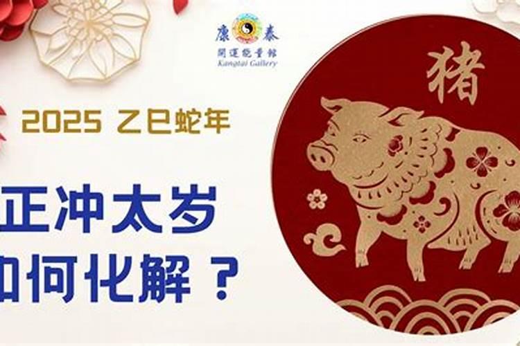 所有属猪今年运势