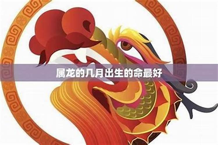 属龙的人命好吗？