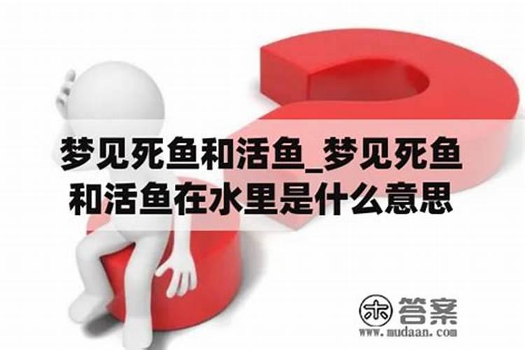 梦到死鱼是什么意思？