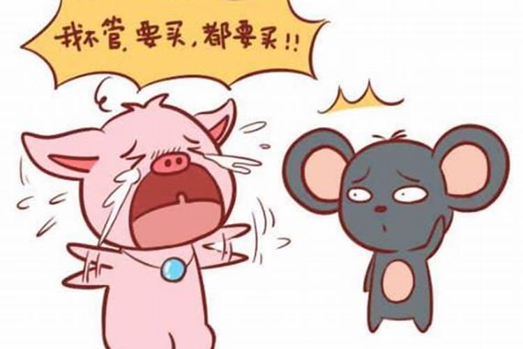 男猪女鼠合婚吗？