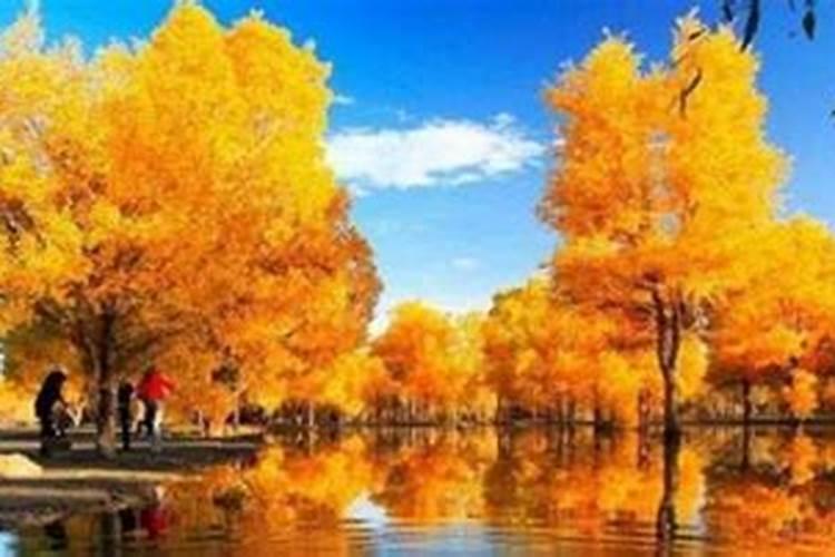 七月十五属相运势