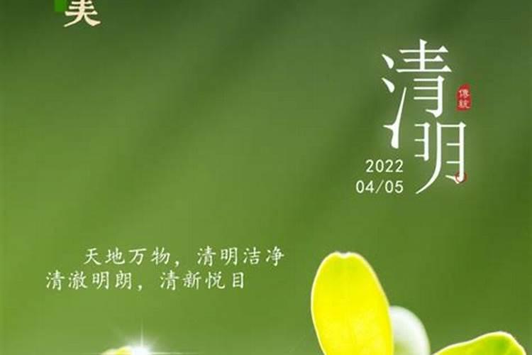 哪天是清明节2026？