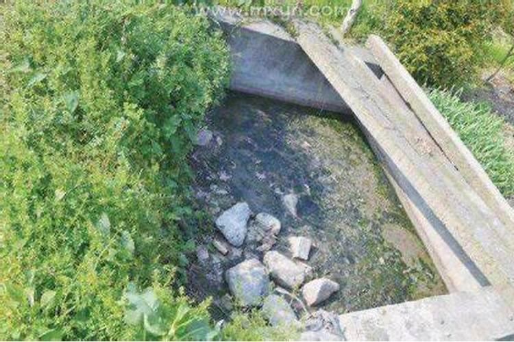 梦见掏粪坑是什么意思掏出死孩子？