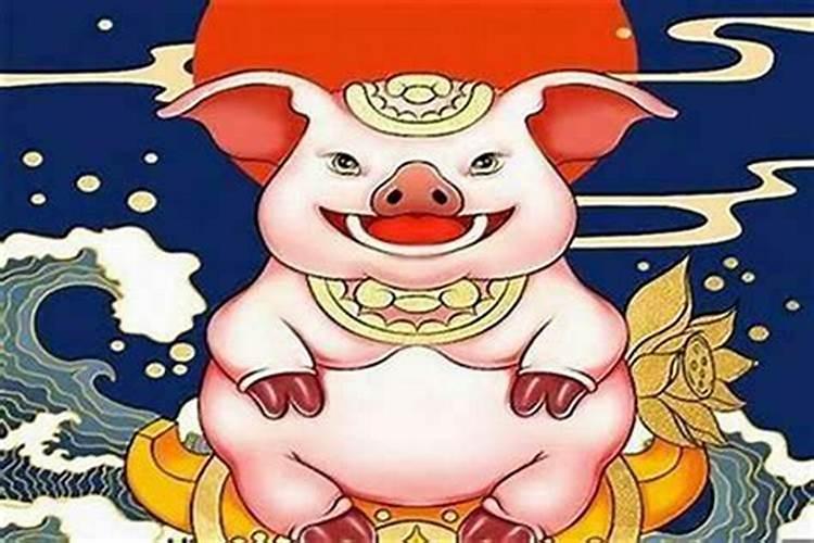 生肖属猪一生的运势