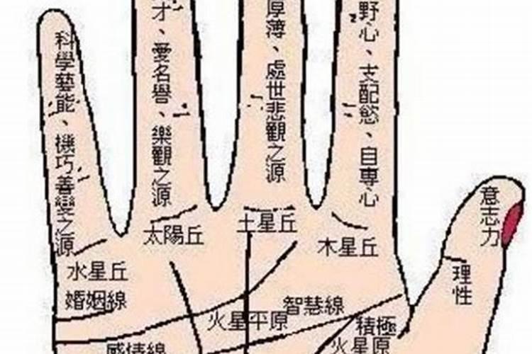 手相看运势是有依据的吗？