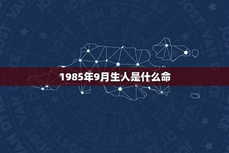 85年是什么命？