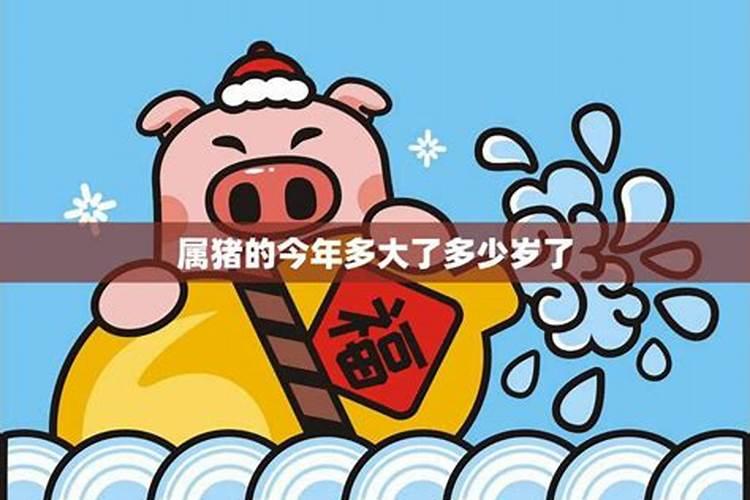 1935年生肖猪的今年健康运势