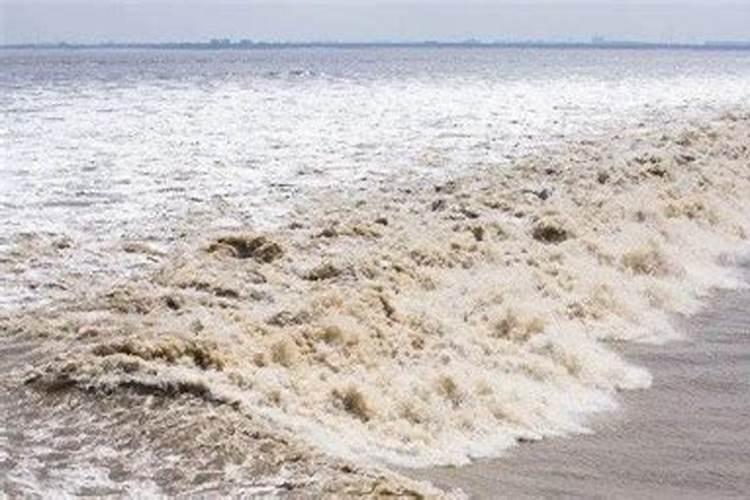 八月十五几点观潮？