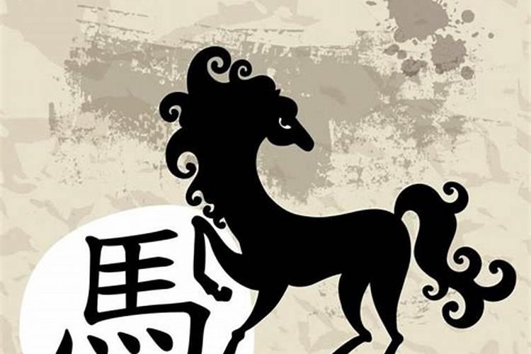 属马女人一生财运爱情运势