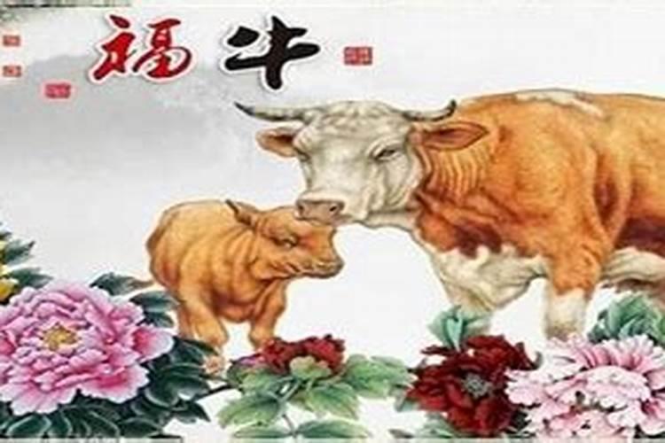 属牛人6月份的运势如何？