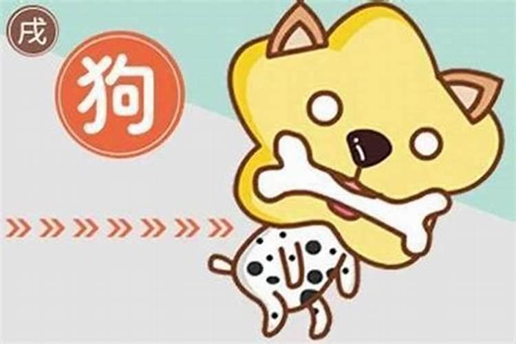 82年的狗下半年运势怎样？