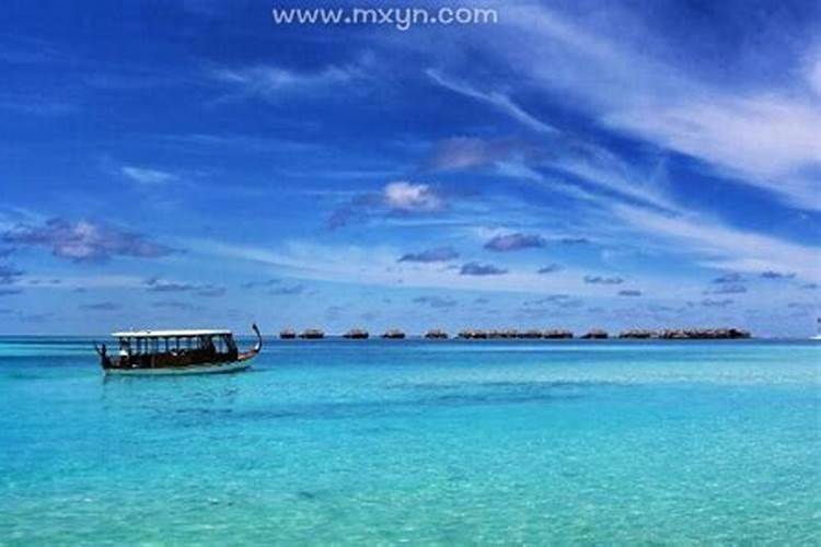 梦见大海大浪吞噬人类