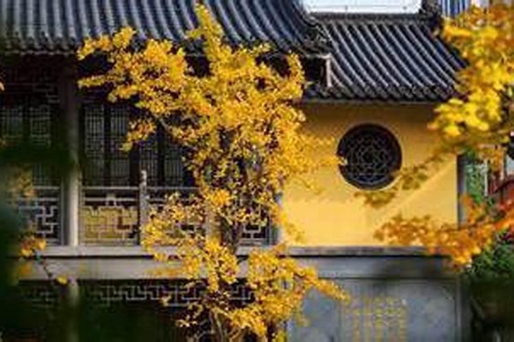 八字主兄弟婚姻不顺