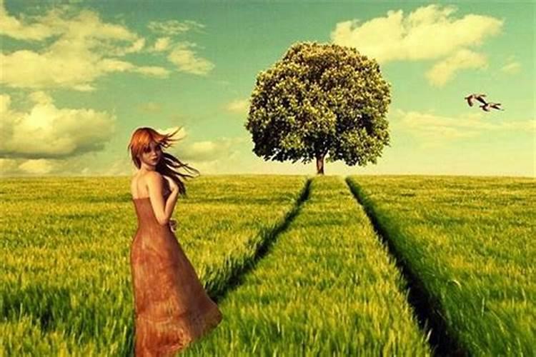 女人梦见刮大风是什么意思？