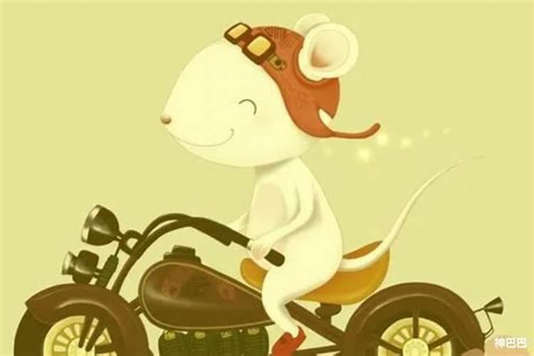 鼠的6月运势如何？