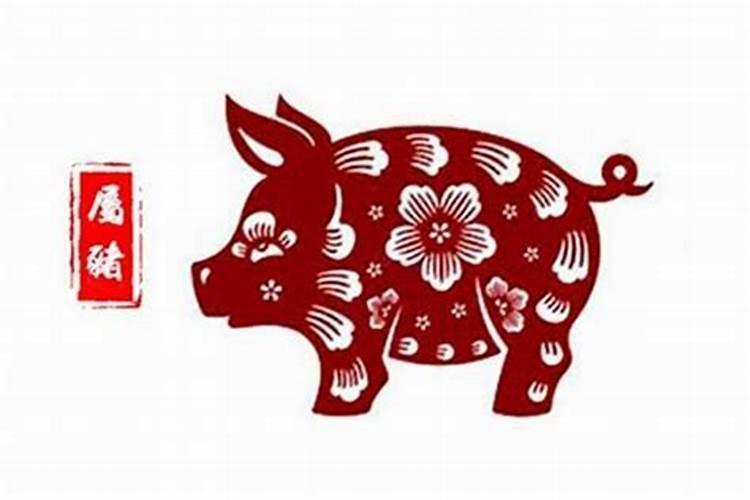 属猪人今年七月和八月运势咋样