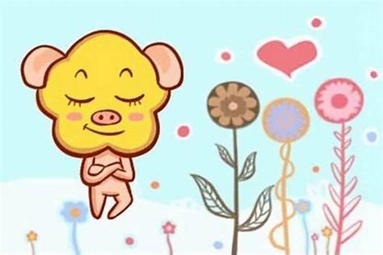 属猪和属蛇的合婚吗？