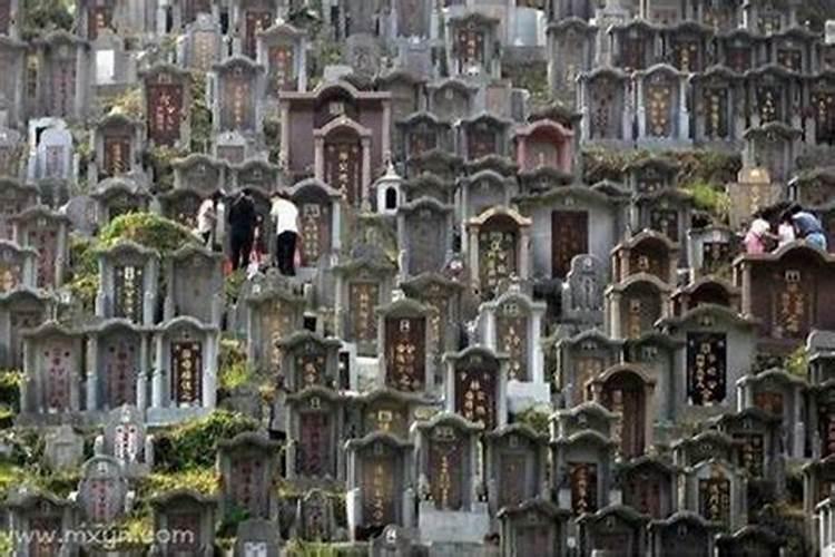 怀孕做梦梦到墓地什么预兆？