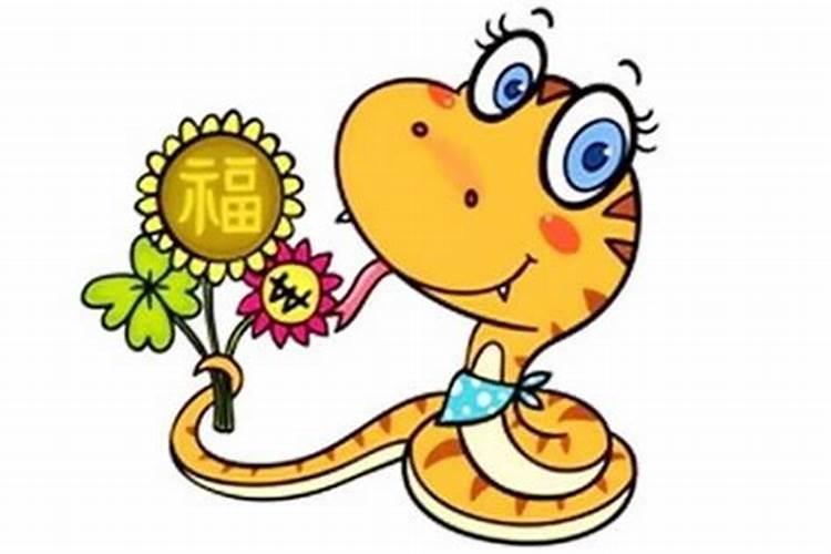 属蛇的人今年多大？