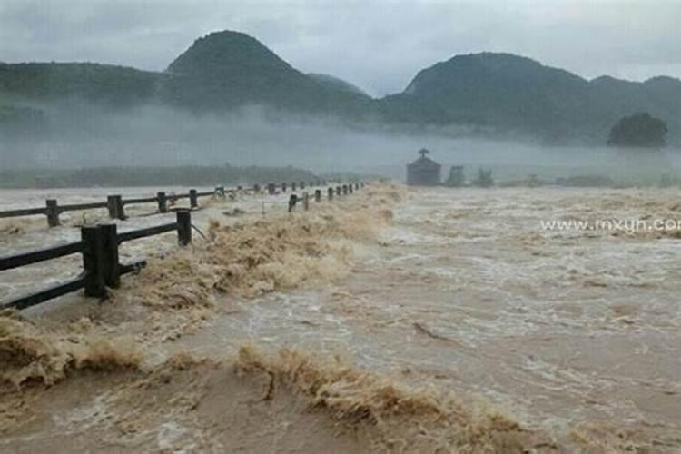 梦见大雨大河水满了